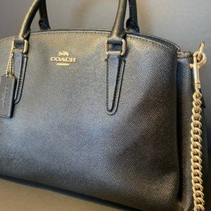 COACH Sage Carryall